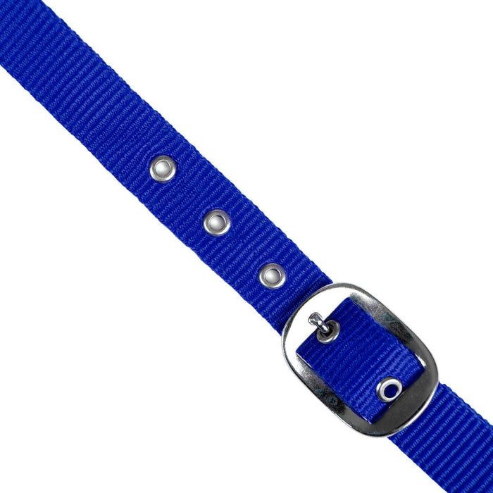Jeffers Adjustable Nylon Full Size Horse Halter - GAGDO - Royal Blue - 13