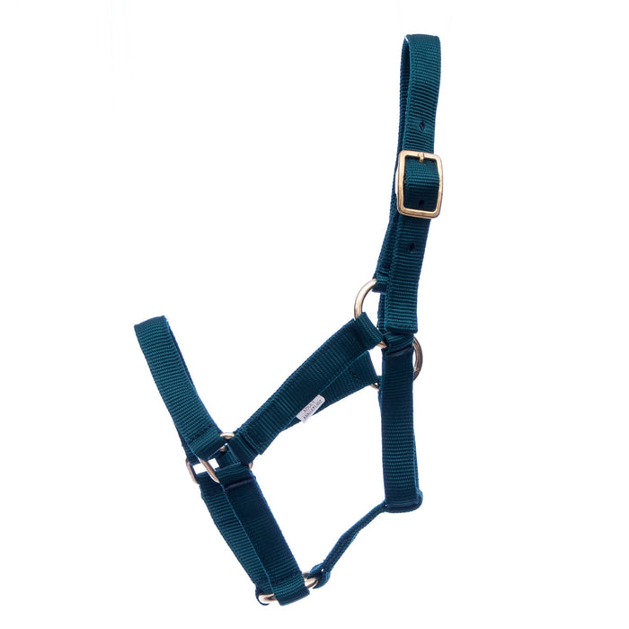 Jeffers Adult Miniature Nylon Horse Halter (under 300 lb) - Jeffers - Horse Supplies > Horse Tack > Horse Halters