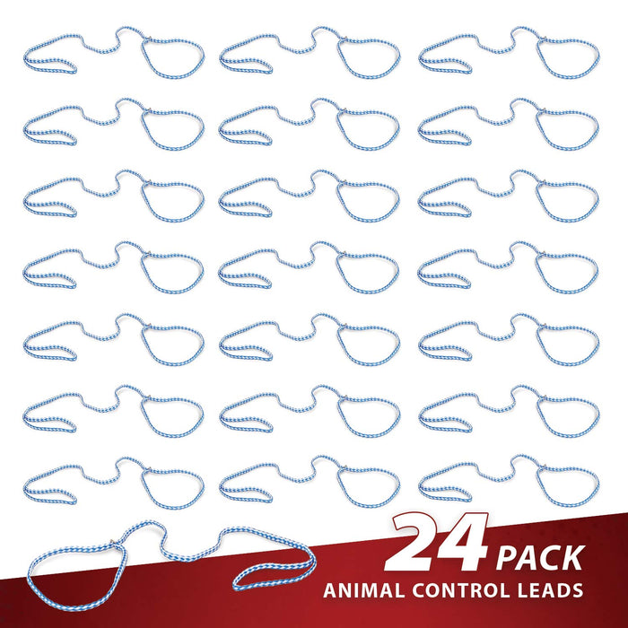 Jeffers Animal Control Slip Dog Lead, Braided Poly, 6'L - EZA1-24 - 24 Pack - Blue - 6'L - 5
