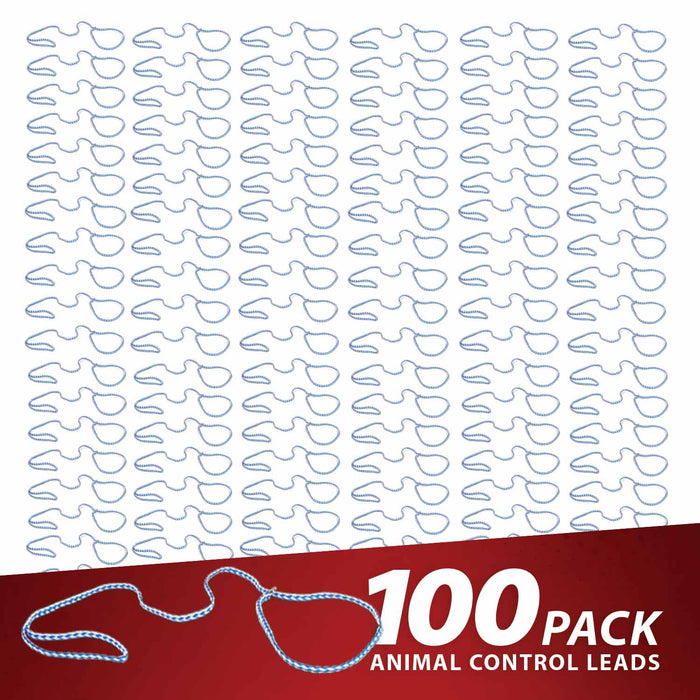 Jeffers Animal Control Slip Dog Lead, Braided Poly, 6'L - EZA1-50 - 100 Pack - Blue - 6'L - 8