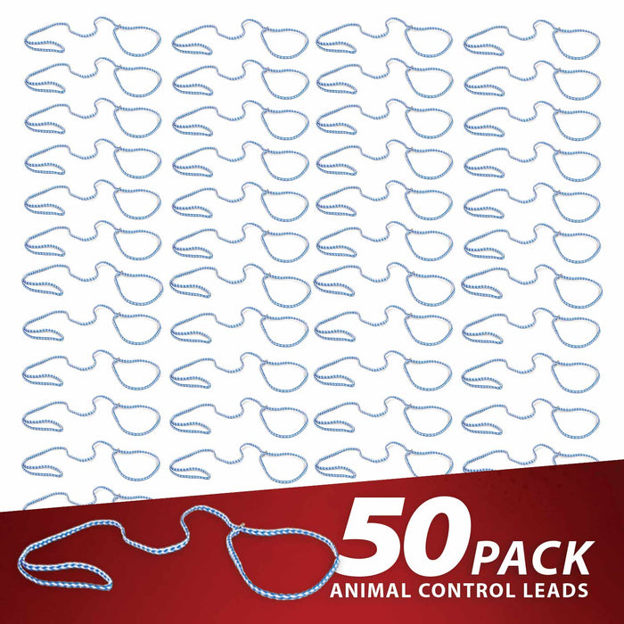 Jeffers Animal Control Slip Dog Lead, Braided Poly, 6'L - EZA1-50 - 50 Pack - Blue - 6'L - 7