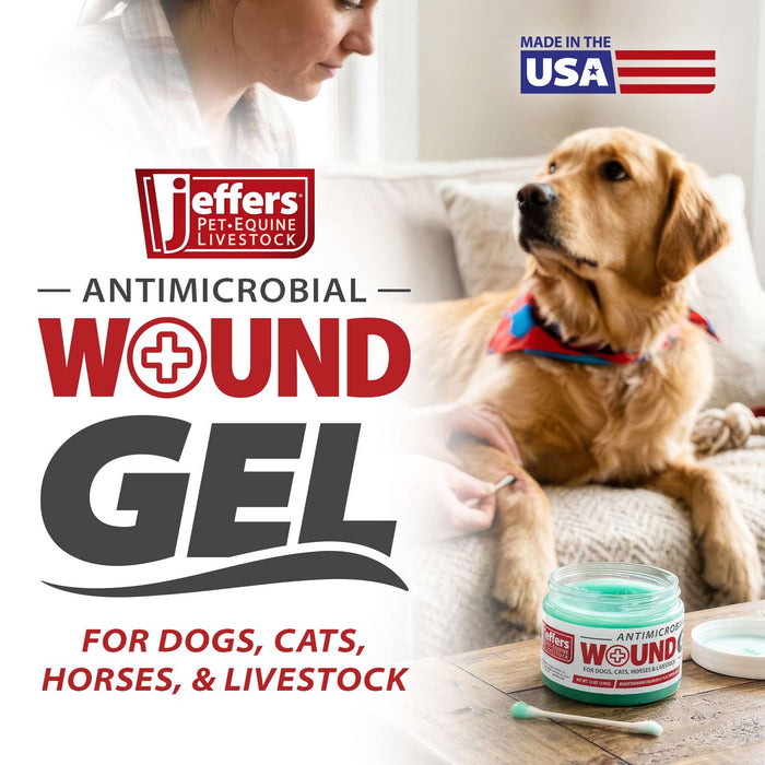 Jeffers Antimicrobial Wound Gel for Dogs, Cats, Horses & Livestock, 12 oz - JEFZWF - Gel - 12 ounce - 2