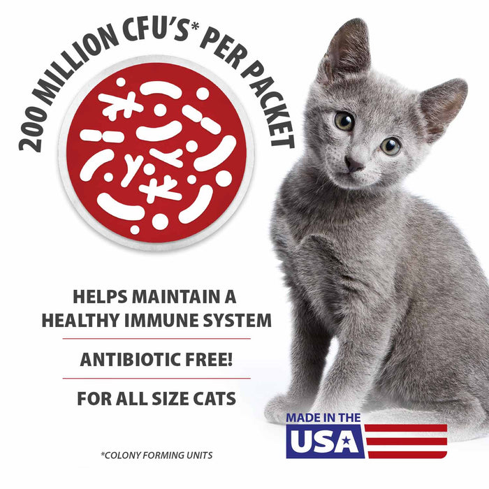 Jeffers BELLY BUDDY Probiotic Supplement Packets for Cats – Multi - Strain Digestive & Immune Support - JEFZVF - Chicken Liver - 30 ct - 4