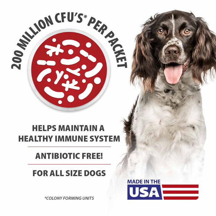 Jeffers BELLY BUDDY Probiotic Supplement Powder for Dogs – Multi - Strain Digestive & Immune Support - JEFZVE - Chicken Liver - 30 ct - 4