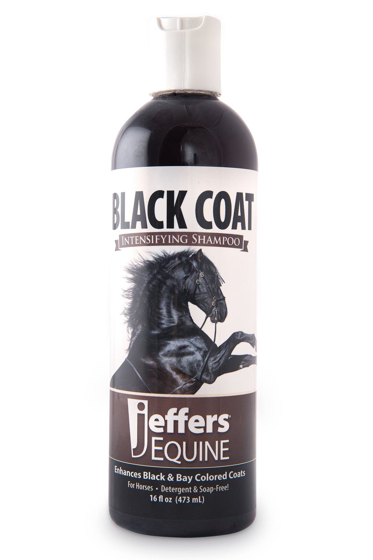 Jeffers® Black Coat Horse Shampoo to Enhance Black and Bay Coats
