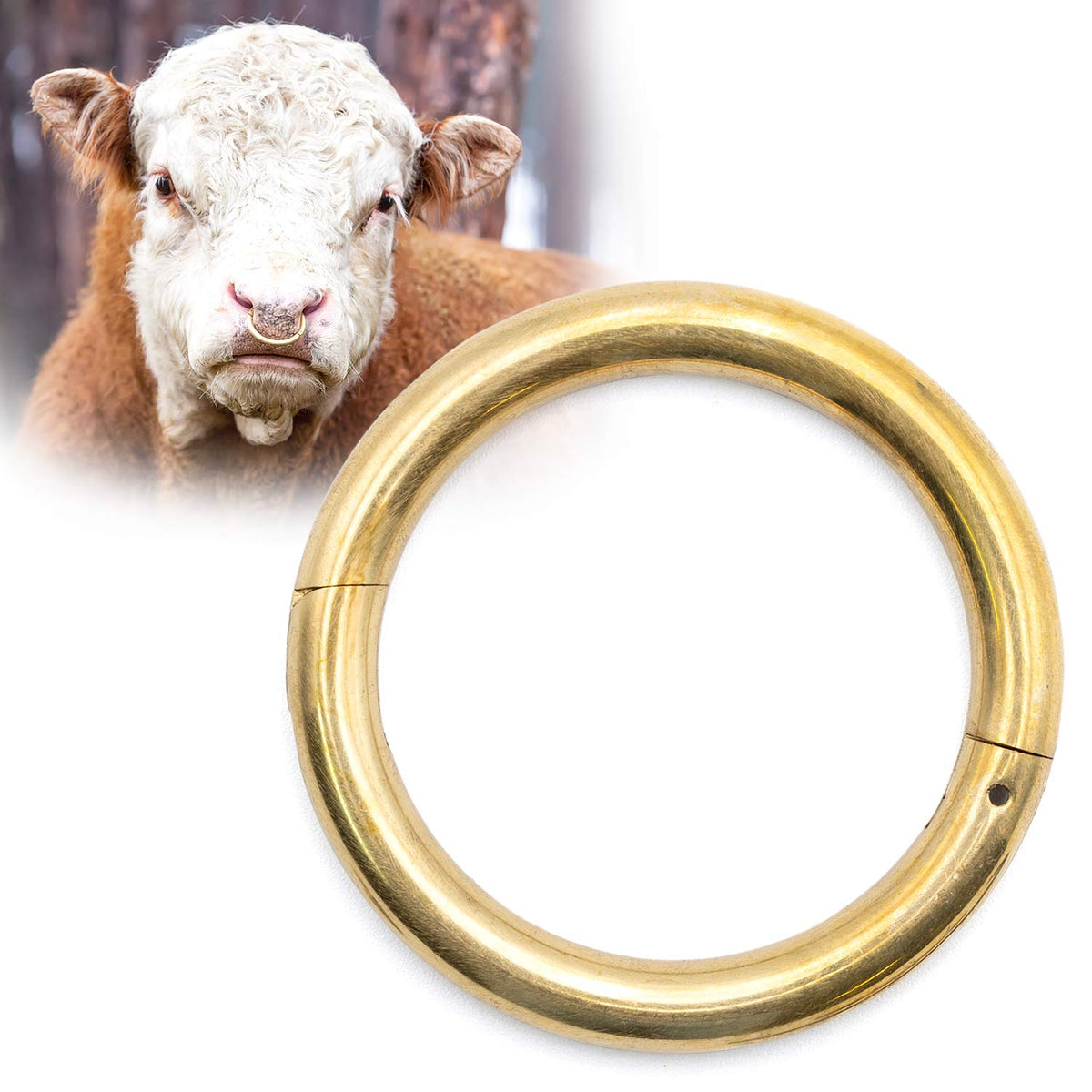 Jeffers Bull Rings, Self-piercing