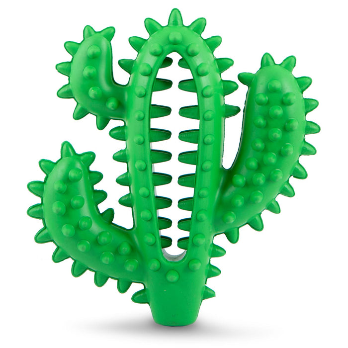 Jeffers Cactus Natural Rubber Dental Chew Toy for Dogs for Healthy Chewing Habits - I7QG - Green - Medium - 1 - 8