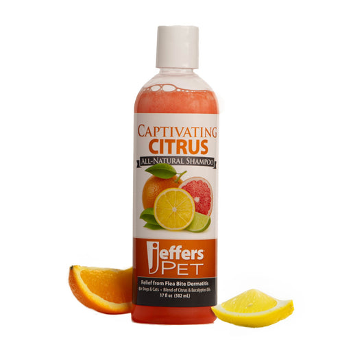 Jeffers Captivating Citrus Shampoo for Dogs and Cats - Jeffers - Animal & Pet Supplies > Pet Grooming > Pet Shampoo & Conditioner