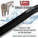 Jeffers Curved Plastic Sweat Scraper for Horses - IAA0 - Black - 1 ct - 2