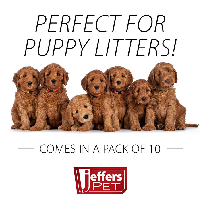 Jeffers Dog Health Record - JVD1-10 - 10 Pack - 5