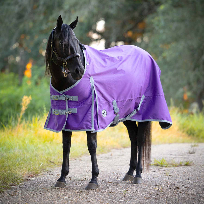 Jeffers Economy 600 Denier Lightweight Standard Neck Horse Turnout Sheet, 0 g Fill - GAGYE - Purple/Grey - 66" - 1