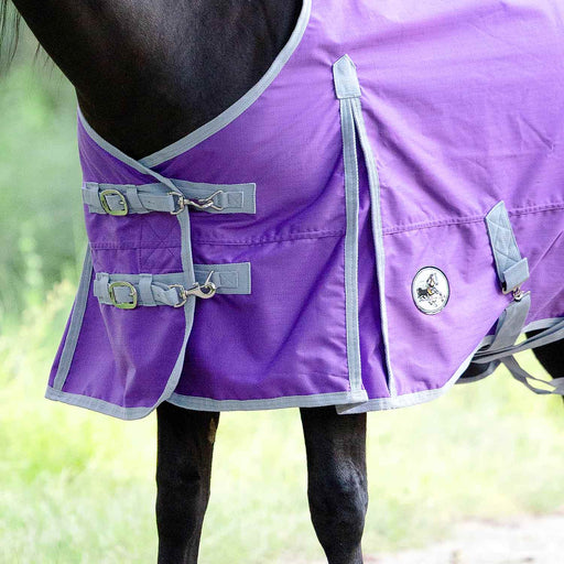 Jeffers Economy 600 Denier Lightweight Standard Neck Horse Turnout Sheet, 0 g Fill - GAGYE - Purple/Grey - 66" - 2