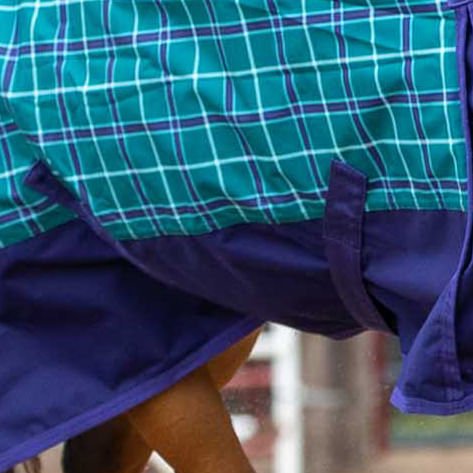 Jeffers Economy 600 Denier Plaid Medium - Weight Standard Neck Horse Turnout Blanket, 240 g - GAGWH - Teal/Purple Plaid - 87 in - 4