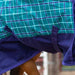 Jeffers Economy 600 Denier Plaid Medium - Weight Standard Neck Horse Turnout Blanket, 240 g - GAGWH - Teal/Purple Plaid - 87 in - 4