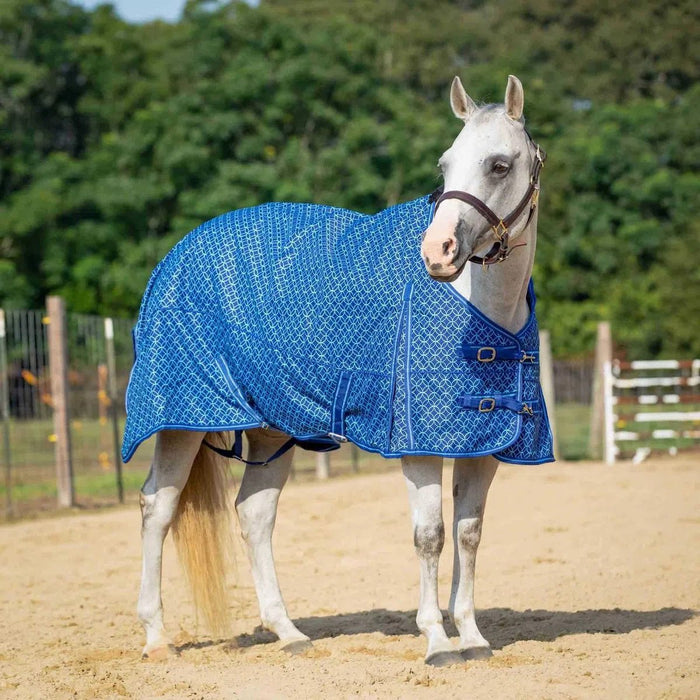 Jeffers Economy 600 Denier Plaid Medium - Weight Standard Neck Horse Turnout Blanket, 240 g - GAGXH - Blue Lattice - 69 in - 6