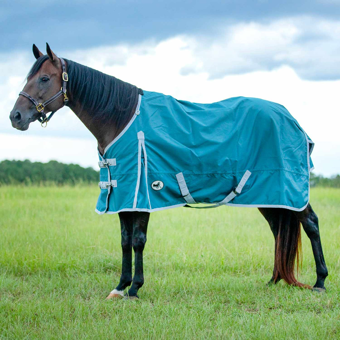 Jeffers Economy 600 Denier Medium Weight Standard Neck Horse Turnout Blanket, 240 Gram - GAG1V2 - Teal/Grey - 66" - 1