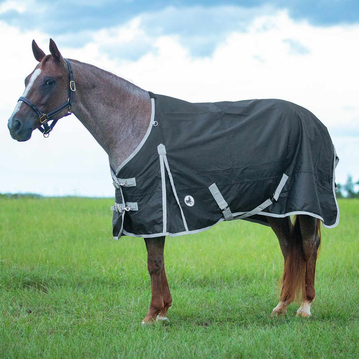 Jeffers Economy 600 Denier Standard Neck Turnout Blanket, 240 Gram - Jeffers - Horse Supplies > Horse Blankets & Sheets