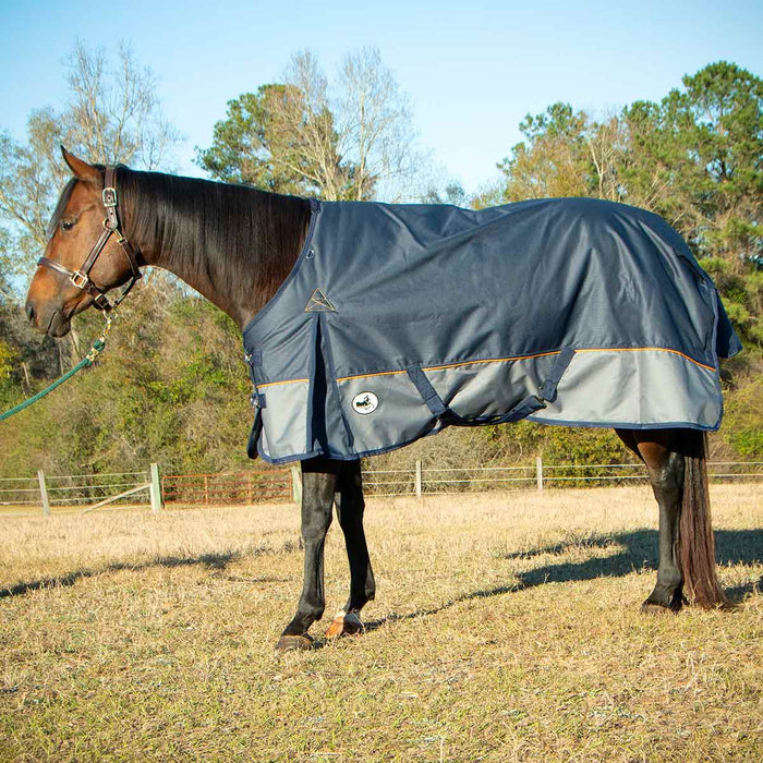 Jeffers Economy Plus 1200 Denier Turnout Blanket with Standard Neck, 240 Gram, Navy & Gray - Jeffers - Horse Supplies > Horse Blankets & Sheets