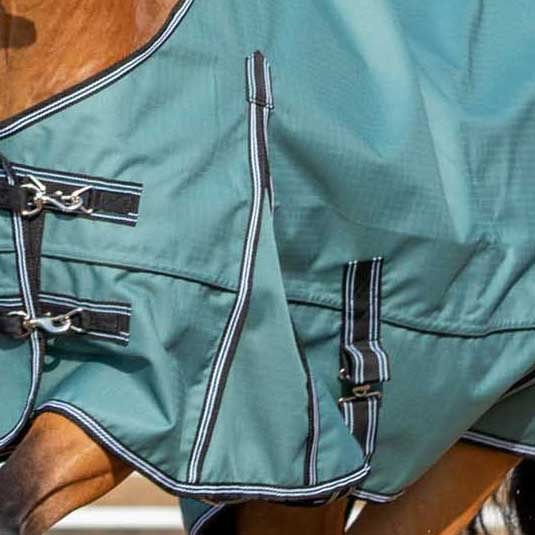 Jeffers Economy Plus Lightweight Standard Neck Horse Horse Turnout Sheet, 1200 Denier, 0 g Fill, Sage Green - GAGVM - 66 in - Sage Green - 3