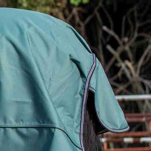 Jeffers Economy Plus Lightweight Standard Neck Horse Horse Turnout Sheet, 1200 Denier, 0 g Fill, Sage Green - GAGVM - 66 in - Sage Green - 5