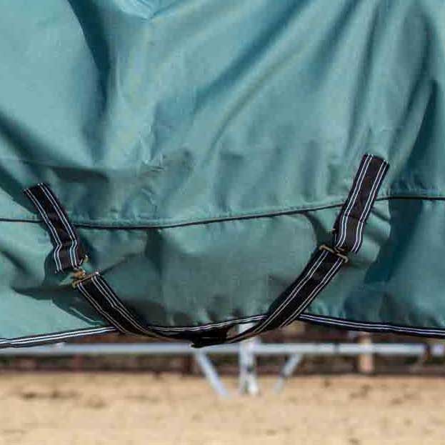 Jeffers Economy Plus Lightweight Standard Neck Horse Horse Turnout Sheet, 1200 Denier, 0 g Fill, Sage Green - GAGVM - 66 in - Sage Green - 4