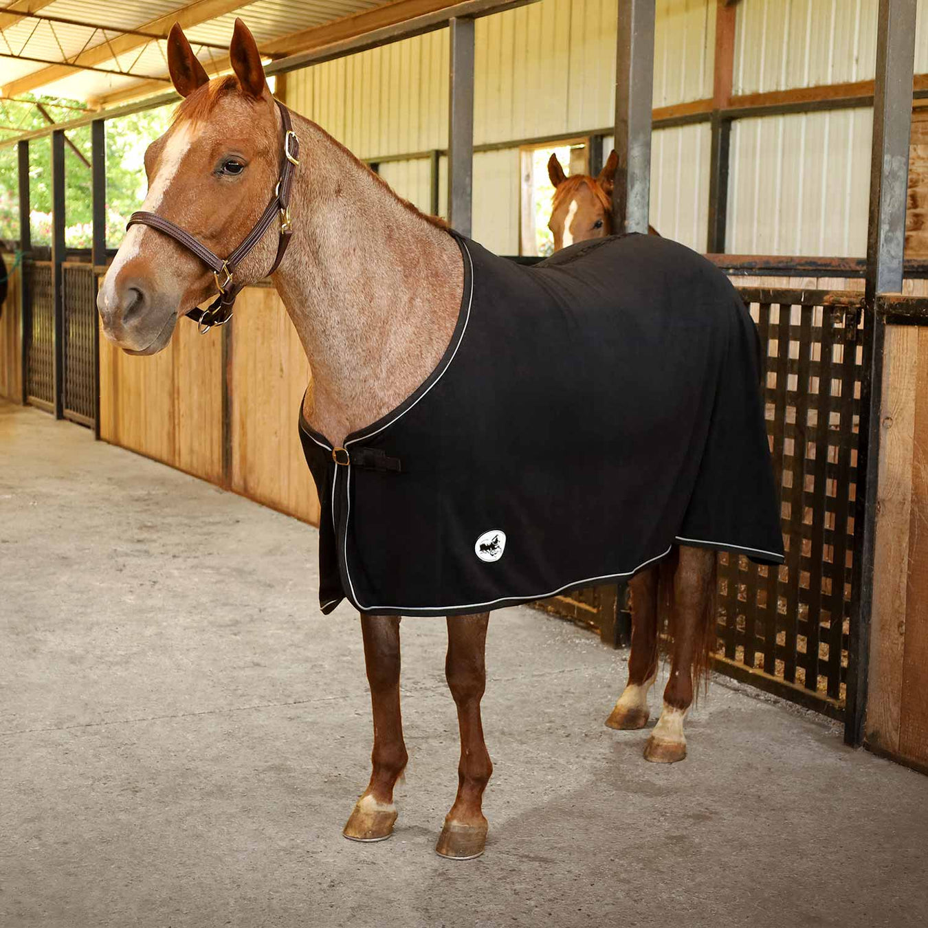 Jeffers Elite Fleece Horse Cooler Blanket - GAG1C9 - 66 in - Black - 1