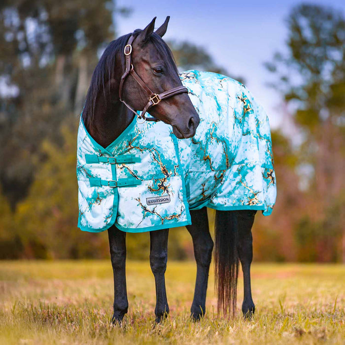 Jeffers Expression 1200 Denier Standard Neck Horse Turnout Sheet, 0 Gram - JEF2TQ - Bisbee Blue - 66" - 13