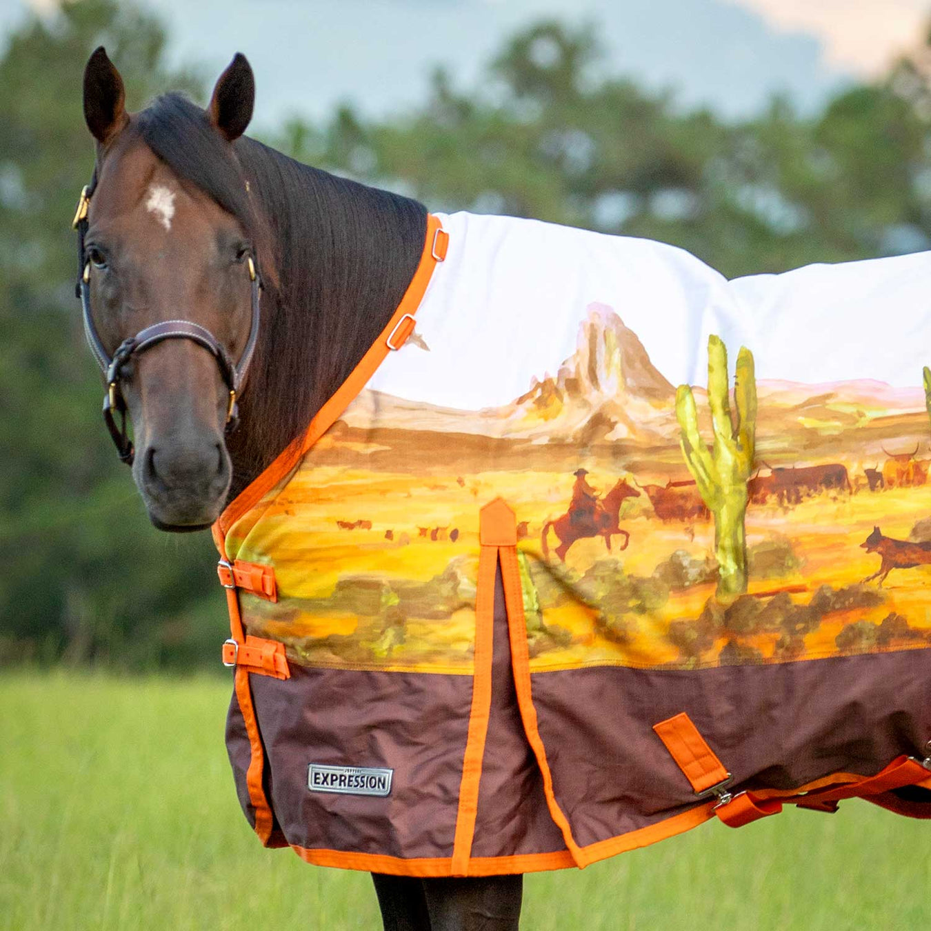 Jeffers Expression 1200 Denier Standard Neck Turnout Blanket, 240 Gram, Cattle Drive - Jeffers - Horse Supplies > Horse Blankets & Sheets