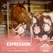 Jeffers Expression 1200 Denier Standard Neck Turnout Horse Blanket, 240 Gram - JEF2EH - Rose Garden - 66" - 8