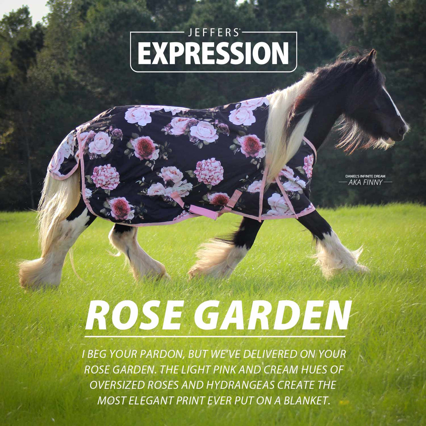 Jeffers Expression 1200 Denier Standard Neck Turnout Horse Blanket, 240