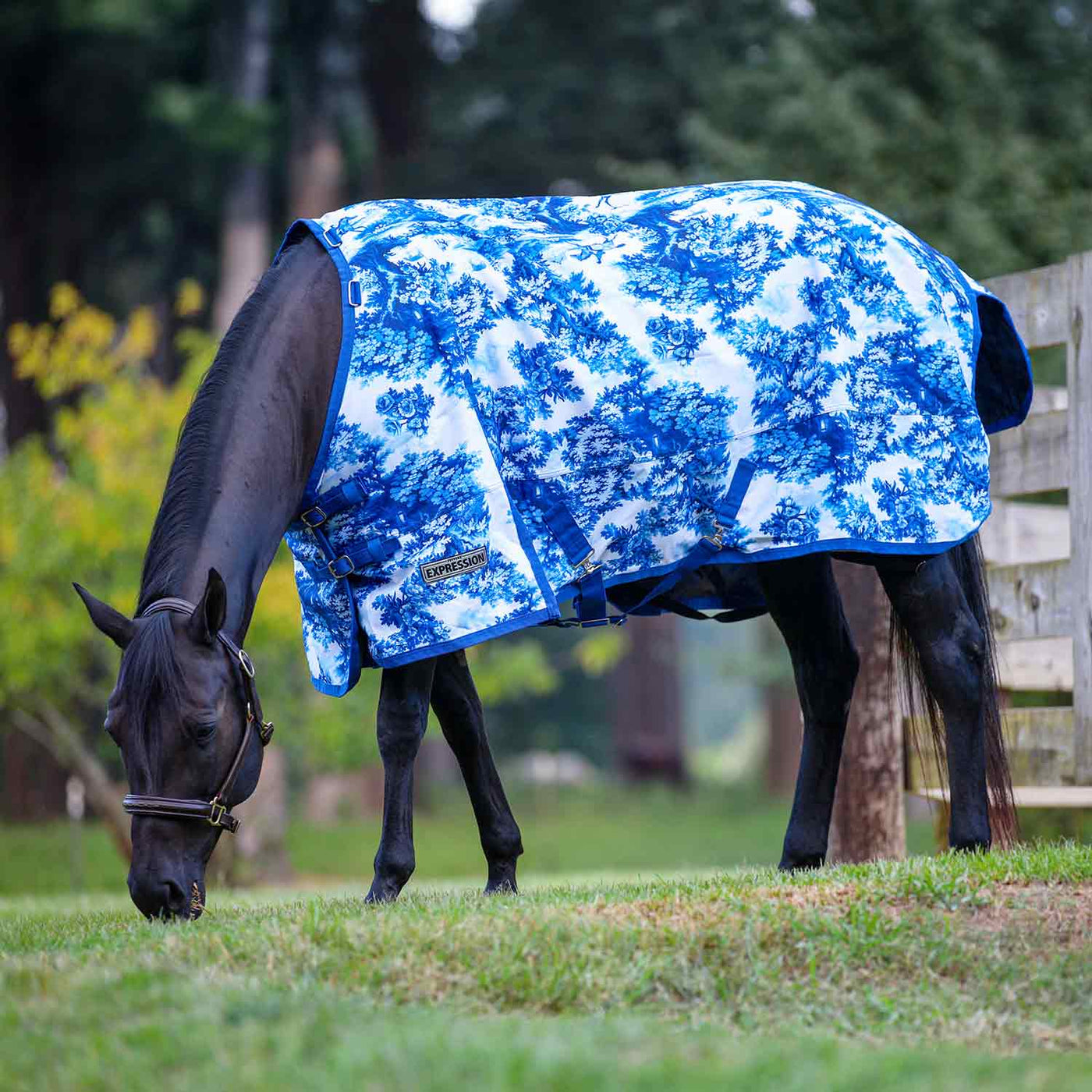 Jeffers Expression 1200 Denier Standard Neck Turnout Horse Blanket, 240