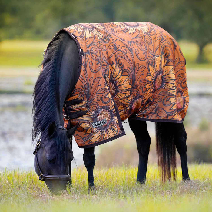 Jeffers Expression 1200 Denier Standard Neck Turnout Horse Blanket, 240 Gram - JEF2SH - Bloomin' Toolin' - 66" - 13