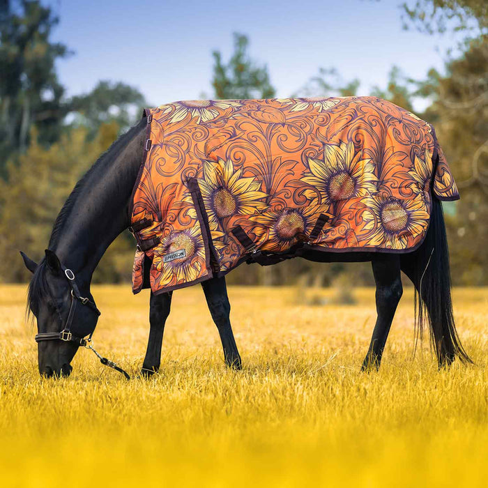 Jeffers Expression 1200 Denier Standard Neck Turnout Horse Blanket, 240 Gram - JEF2SH - Bloomin' Toolin' - 66" - 12