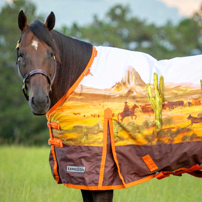 Jeffers Expression 1200 Denier Standard Neck Turnout Sheet, 0 Gram, Cattle Drive - Jeffers - Horse Supplies > Horse Blankets & Sheets