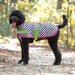 Jeffers Expression 600D Waterproof Ripstop Dog Coat, 240 Gram - JEF2J4 - Skater Pup - 16" - 24