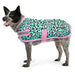 Jeffers Expression Dog Fleece, Party Cheetah - Jeffers - Dog Supplies > Dog Apparel