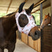 Jeffers Expression Lycra Horse Fly Mask with Ears - JEF2Q9 - Rose Garden - Cob - 8