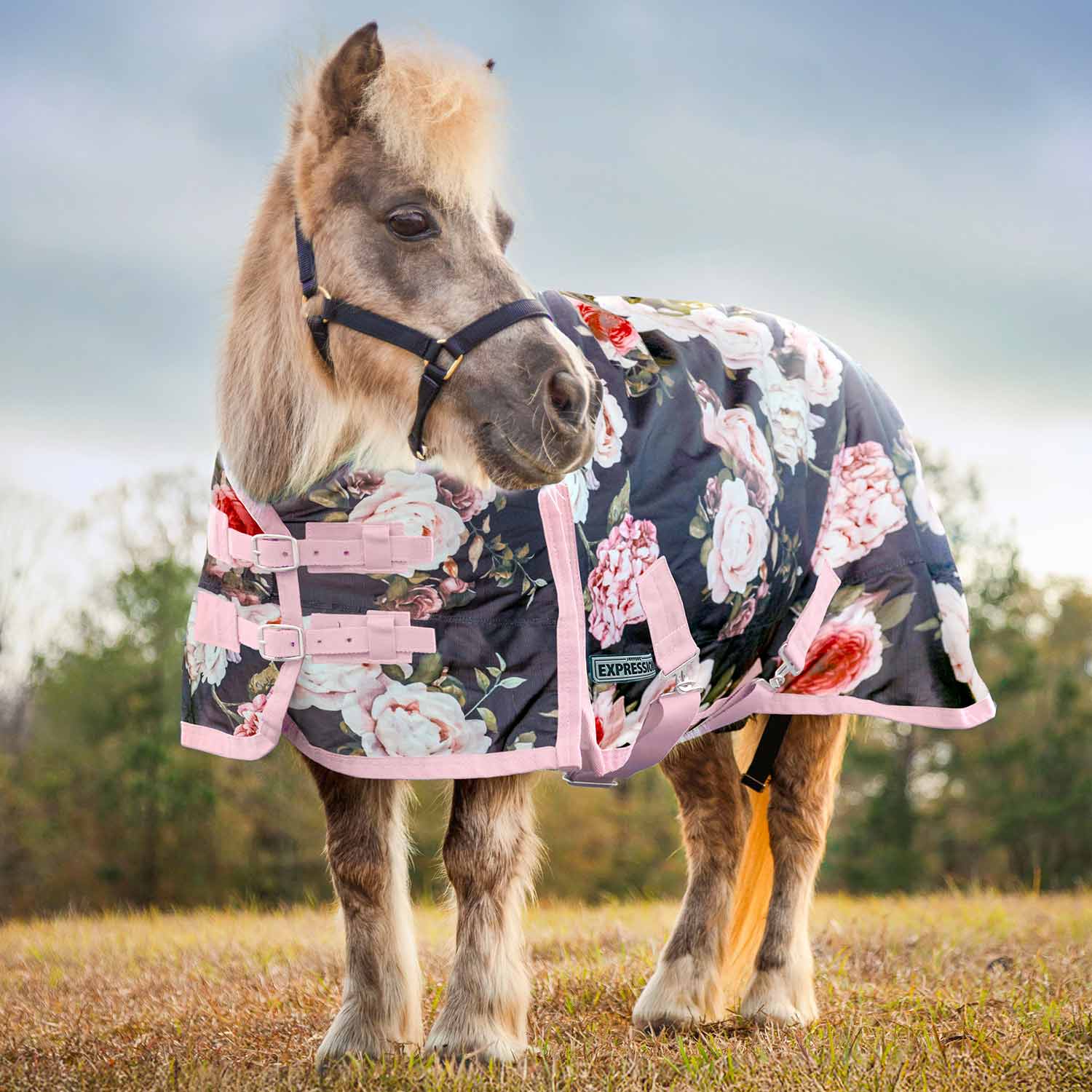 Jeffers Expression Pony 1200 Denier Standard Neck Turnout Blanket