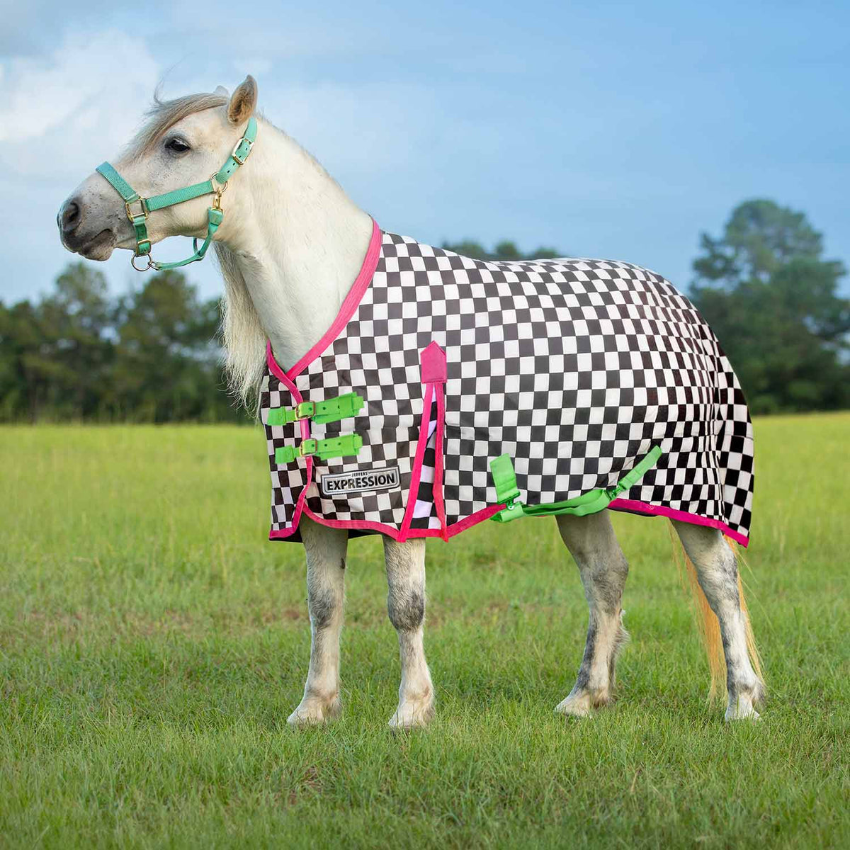 PONY jeffers-expression-pony-1200-