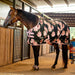Jeffers Expression Standard Neck Fleece Horse Cooler - JEF2G8 - Rose Garden - 66" - 2