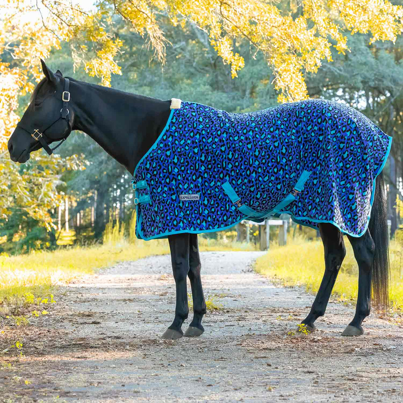 Jeffers Expression Standard Neck Fleece Horse Cooler - JEFCK1 - Maya Cheetah - 66" - 1