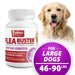 Jeffers Flea Buster Monthly Oral Flea Supplement for Dogs - JEFZV4 - 46 - 90 lbs - Beef - 6 tabs - 15