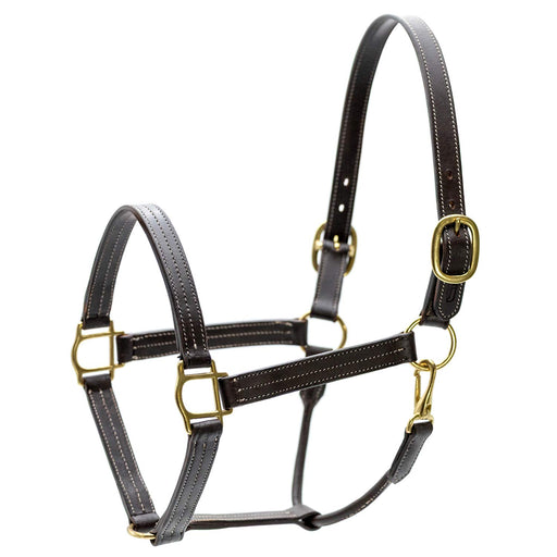 Jeffers Frankfort Triple Stitched Leather Horse Halter with Throat Snap, Adjustable, Breakaway - Ready, Premium Pre - Oiled Leather - JEF15S - Cob - Havana - 1 - 1