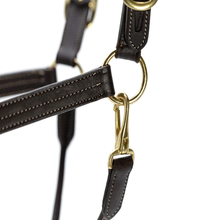 Jeffers Frankfort Triple Stitched Leather Horse Halter with Throat Snap, Adjustable, Breakaway - Ready, Premium Pre - Oiled Leather - JEF15S - Cob - Havana - 1 - 3