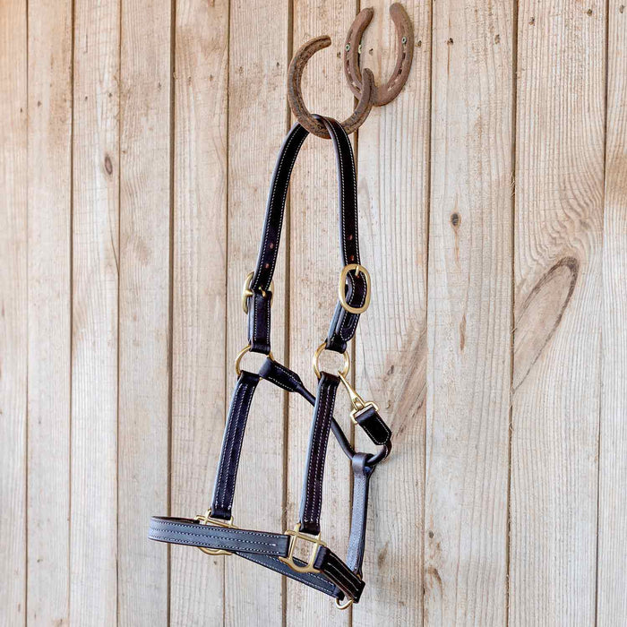 Jeffers Frankfort Triple Stitched Leather Horse Halter with Throat Snap, Adjustable, Breakaway - Ready, Premium Pre - Oiled Leather - JEF15S - Cob - Havana - 1 - 5
