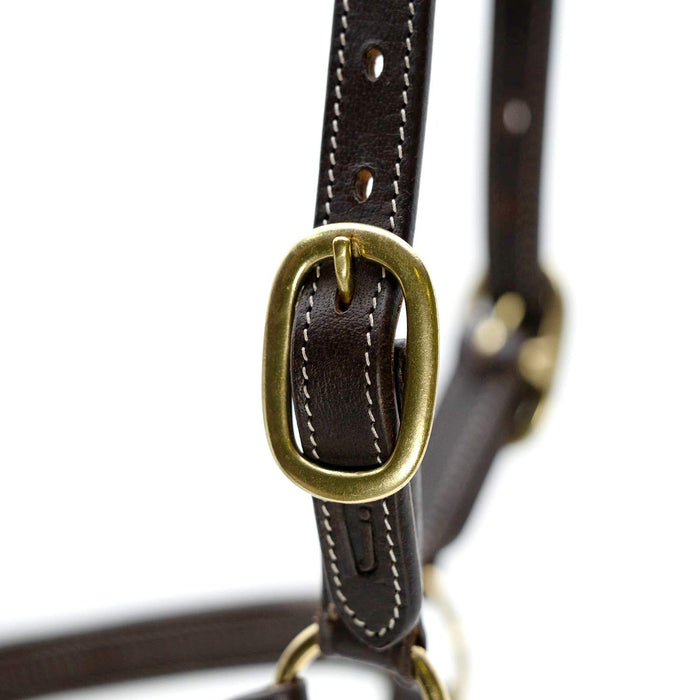 Jeffers Frankfort Triple Stitched Leather Horse Halter with Throat Snap, Adjustable, Breakaway - Ready, Premium Pre - Oiled Leather - JEF15S - Cob - Havana - 1 - 4