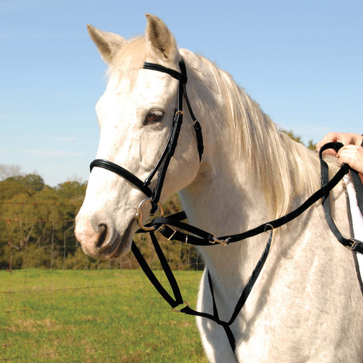Jeffers German Olympic Running Martingale for Horses with Reins - SSTD - Black - 1