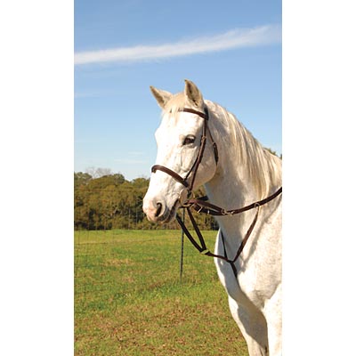 Jeffers German Olympic Running Martingale - Jeffers - Horse Supplies > Horse Tack > Breastplates & Martingales