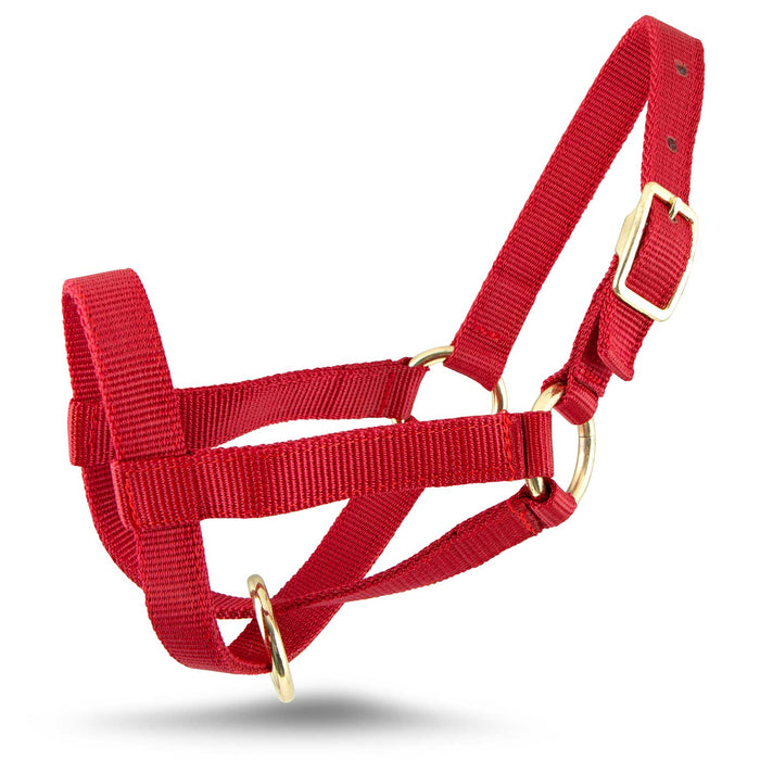Jeffers Goat Halter - SSHG - Small (30" - 34") - Red - 4