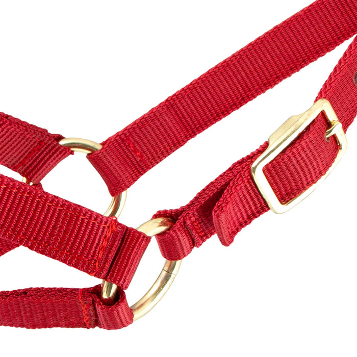 Jeffers Goat Halter - SSHG - Small (30" - 34") - Red - 5